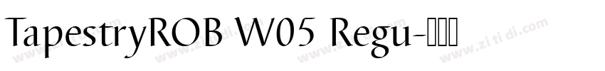 TapestryROB W05 Regu字体转换